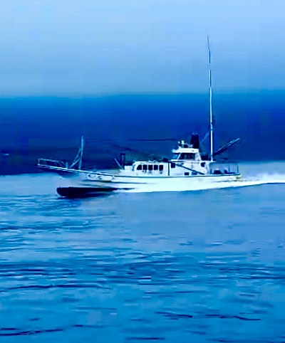 伊豆大島　碧凪丸