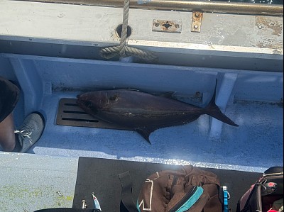 ジギングチャーター